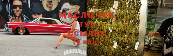твердый Козловка