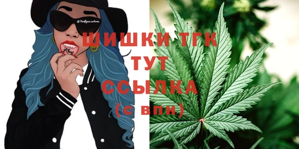 твердый Козловка