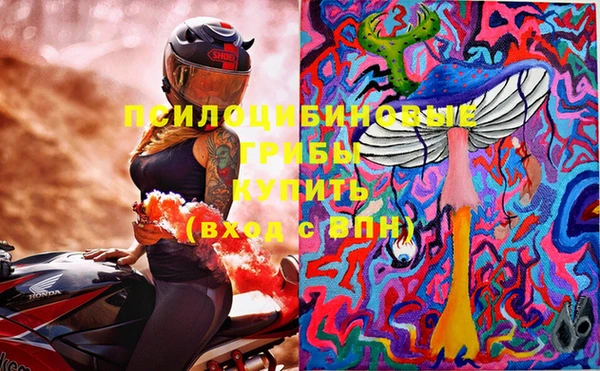 твердый Козловка
